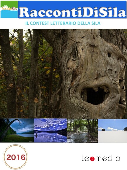 RaccontiDiSila2016 bookCoverFor