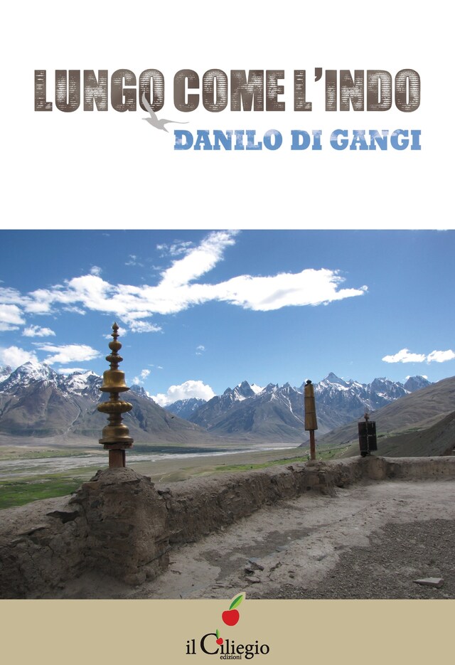 Book cover for Lungo come l'Indo