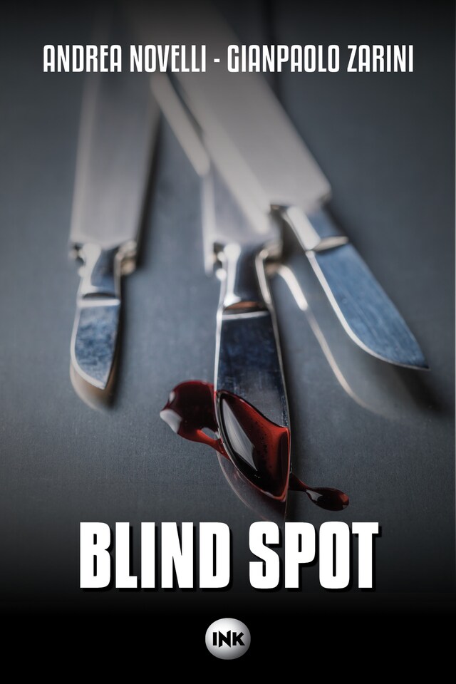 Portada de libro para Blind spot