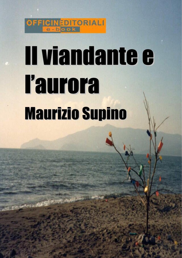 Book cover for Il viandante e l'aurora