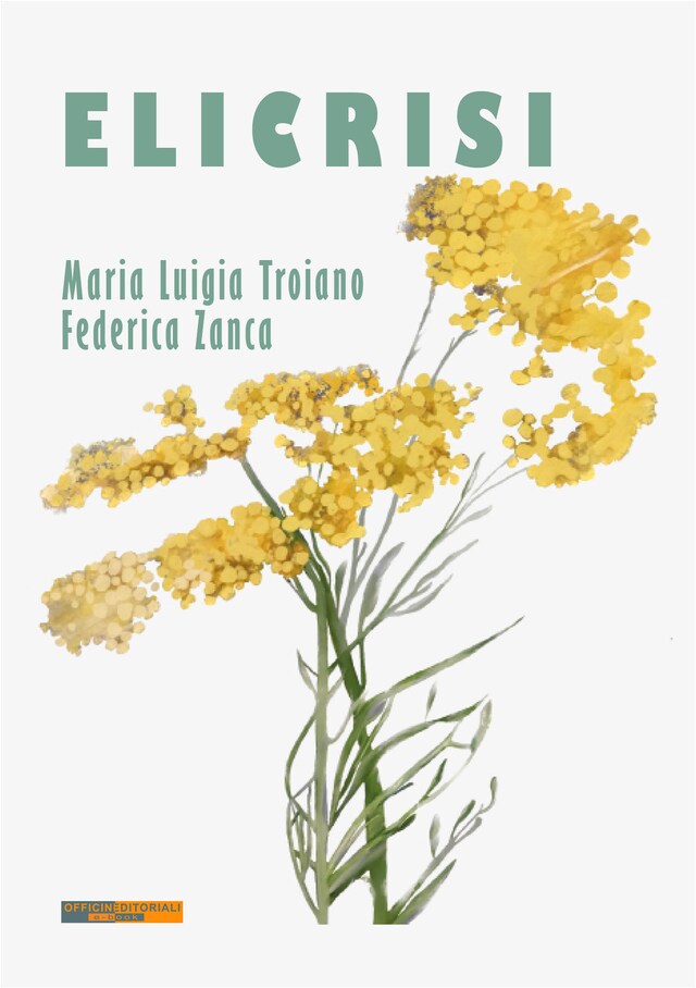 Book cover for Elicrisi