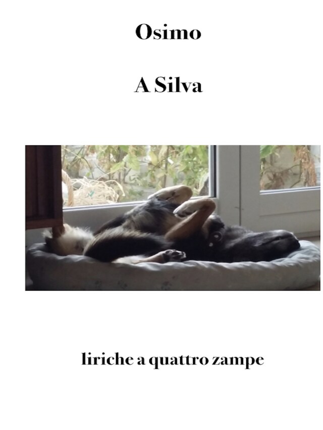 Buchcover für A Silva