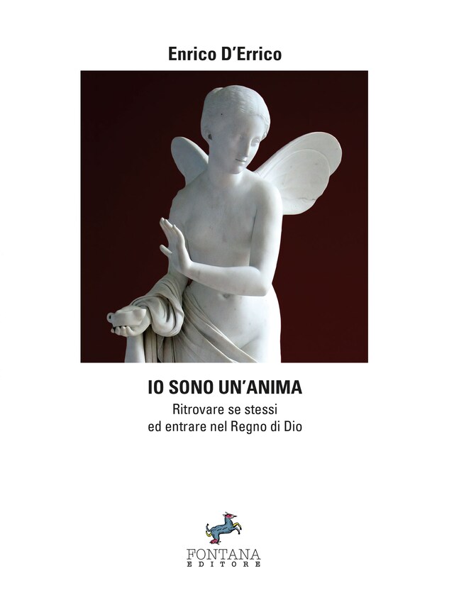 Book cover for Io sono un'anima