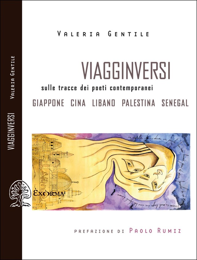 Copertina del libro per Viagginversi