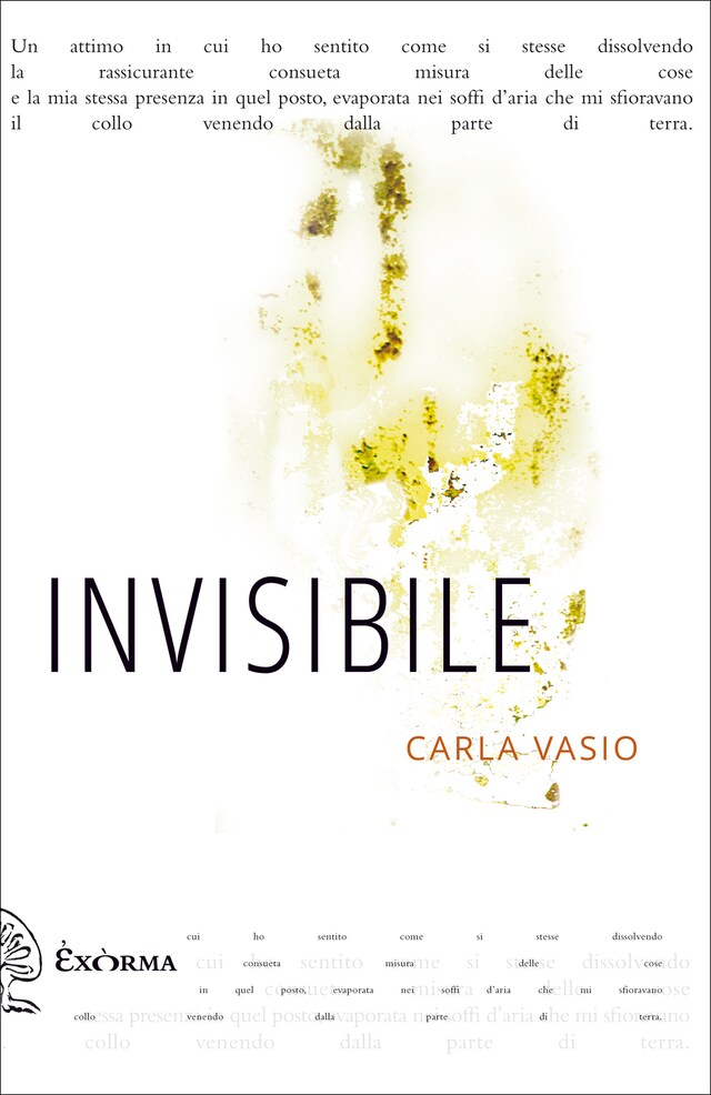 Book cover for Invisibile