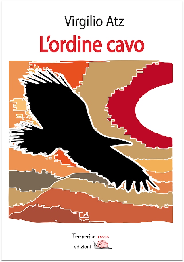 Book cover for L'ordine cavo