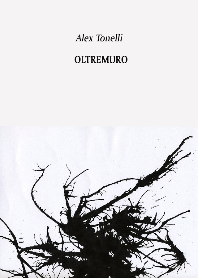 Book cover for Oltremuro