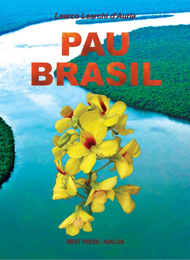 Buchcover für Pau Brasil