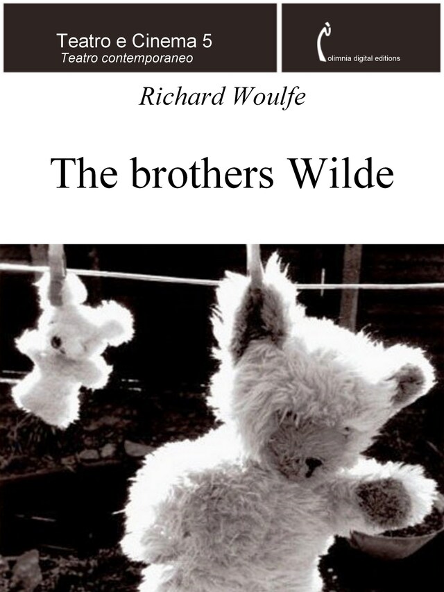 Book cover for The brothers Wilde