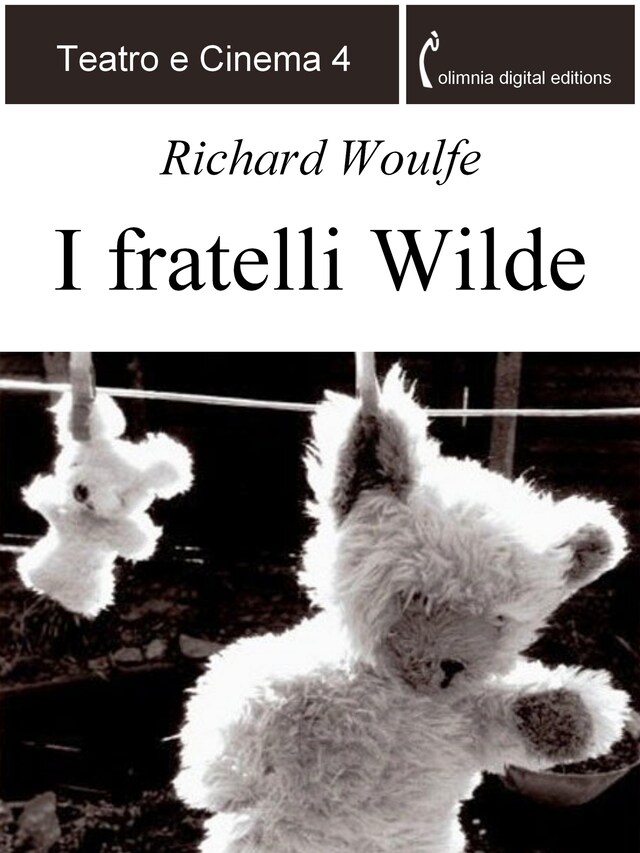 Book cover for I fratelli Wilde