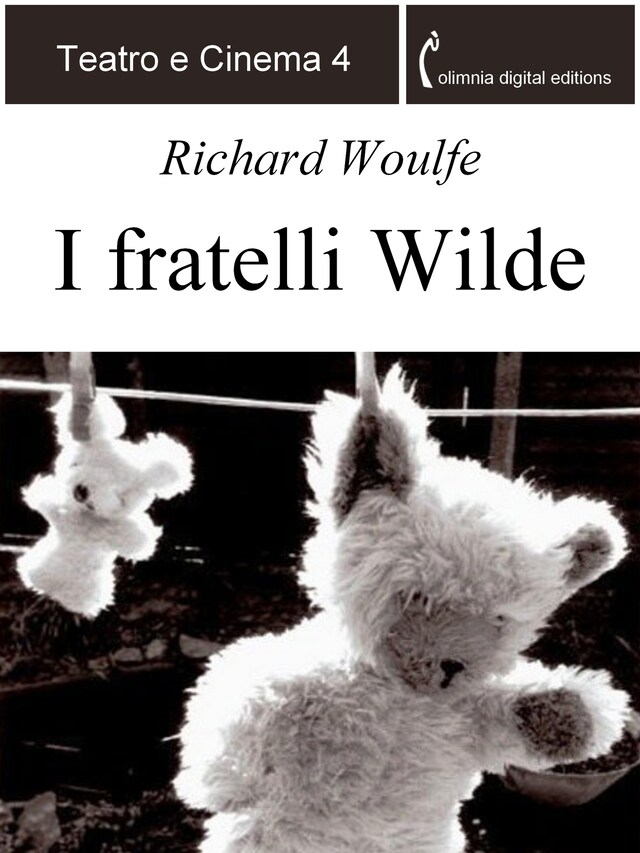 Bogomslag for I fratelli Wilde