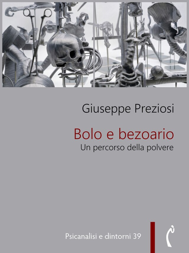 Copertina del libro per Bolo e bezoario