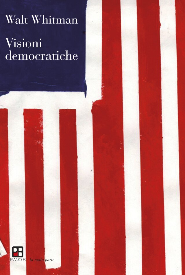 Book cover for Visioni democratiche