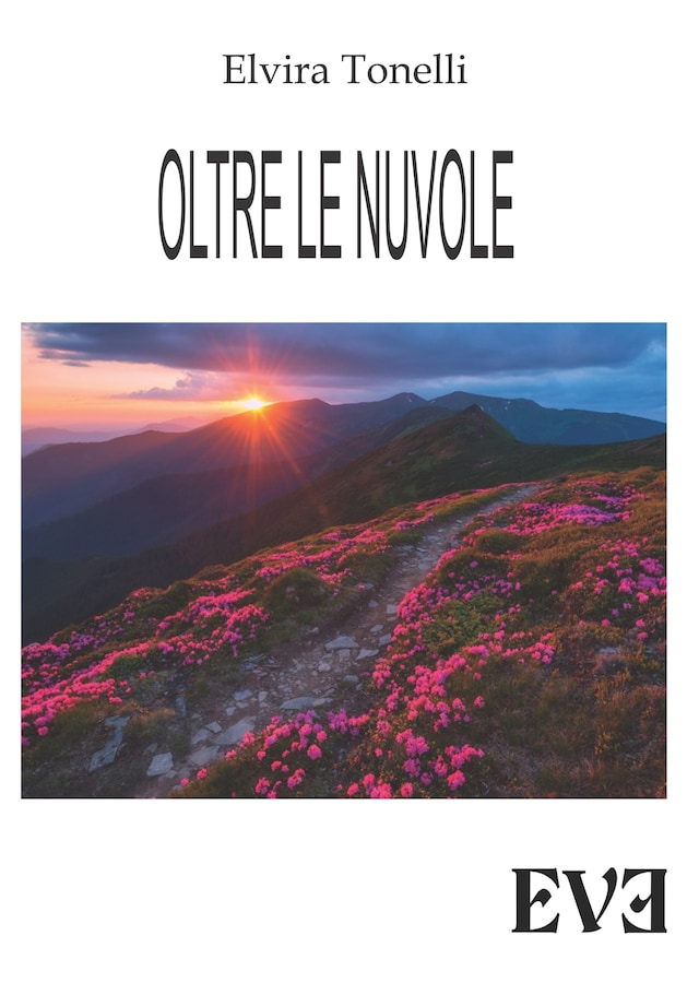 Boekomslag van Oltre le nuvole