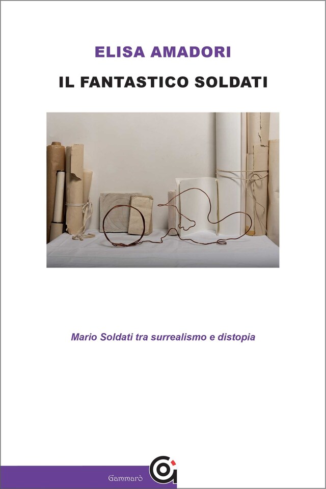 Book cover for Il fantastico Soldati