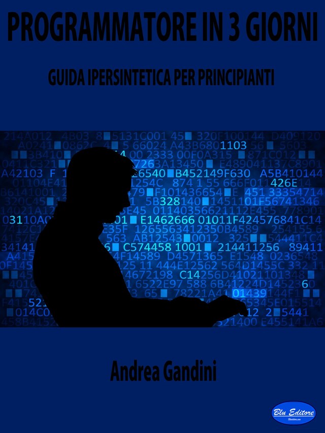 Couverture de livre pour Programmatore in 3 Giorni