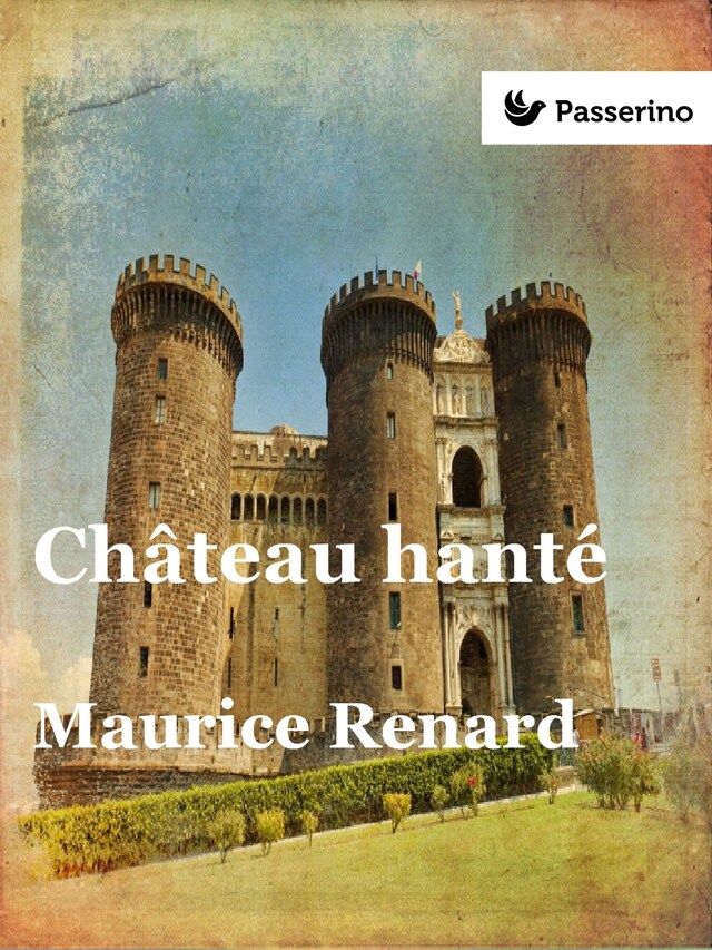 Couverture de livre pour Château hanté