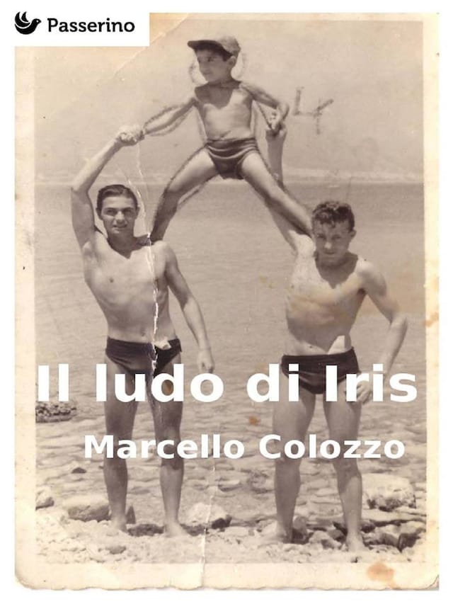 Book cover for Il ludo di Iris