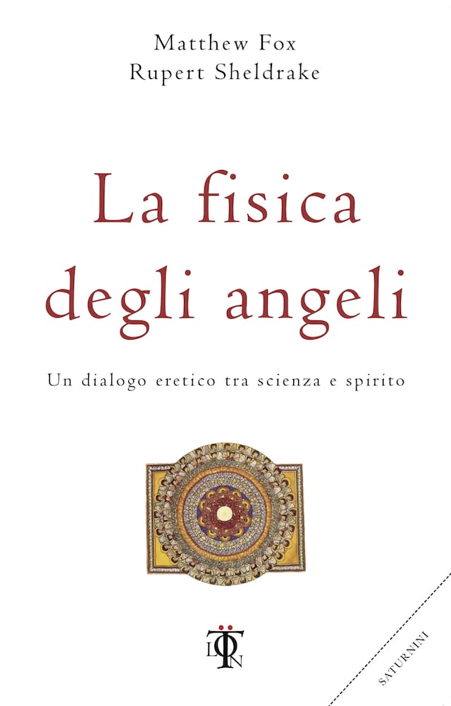 Book cover for La fisica degli angeli