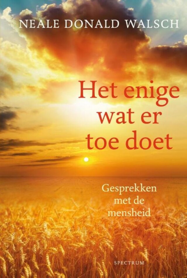 Book cover for Het enige wat er toe doet