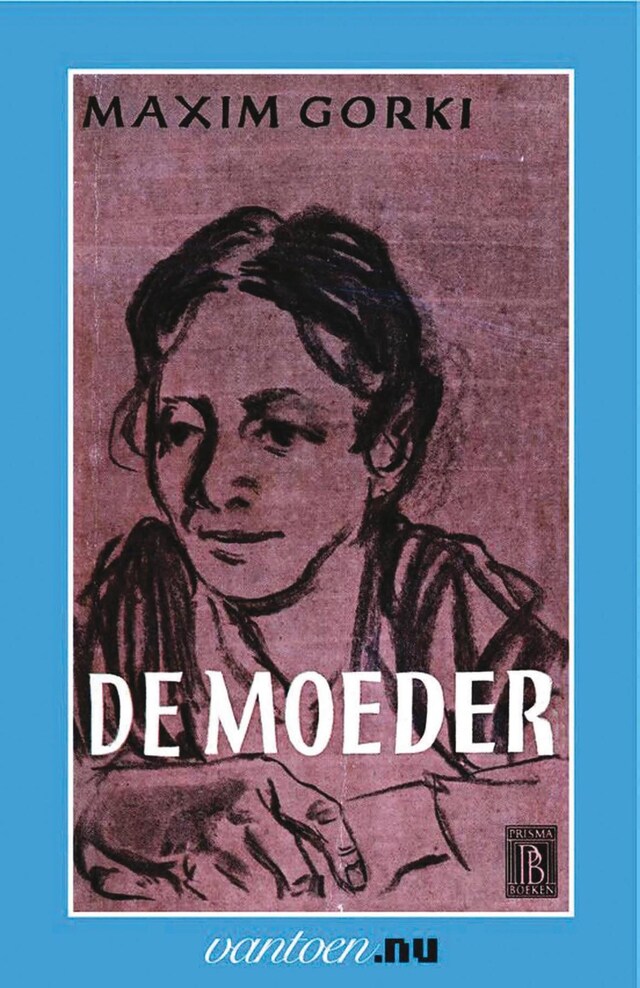 Book cover for De moeder