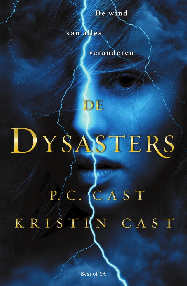 Book cover for De dysasters