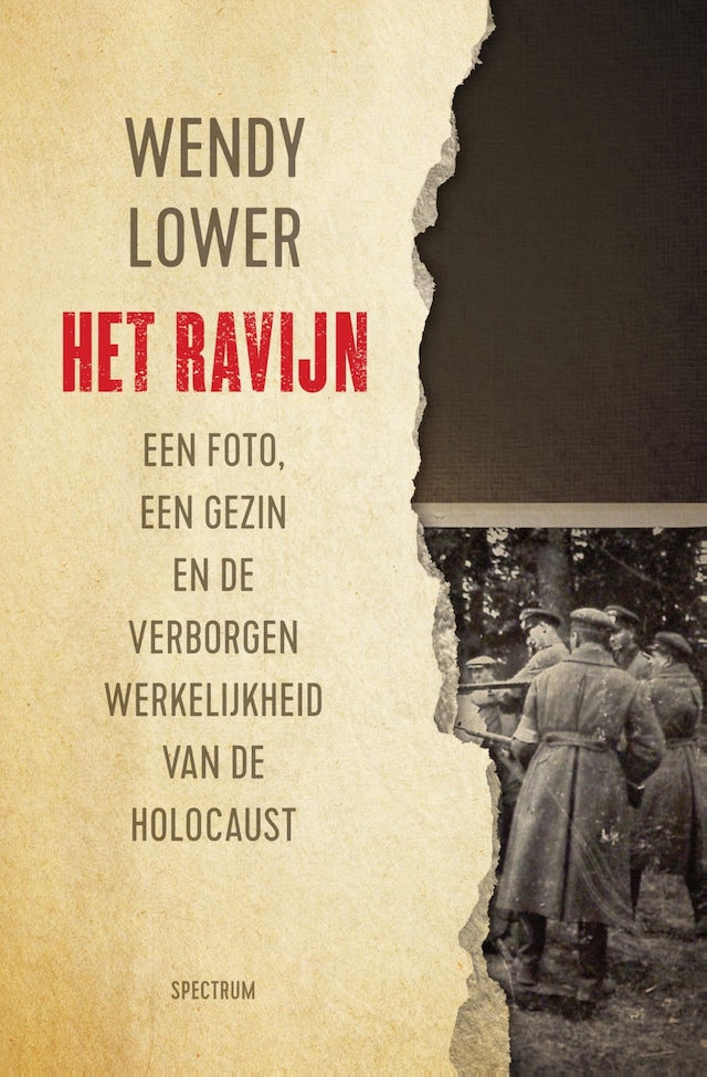 Book cover for Het ravijn