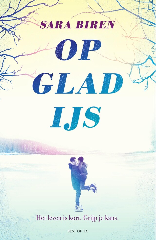 Book cover for Op glad ijs