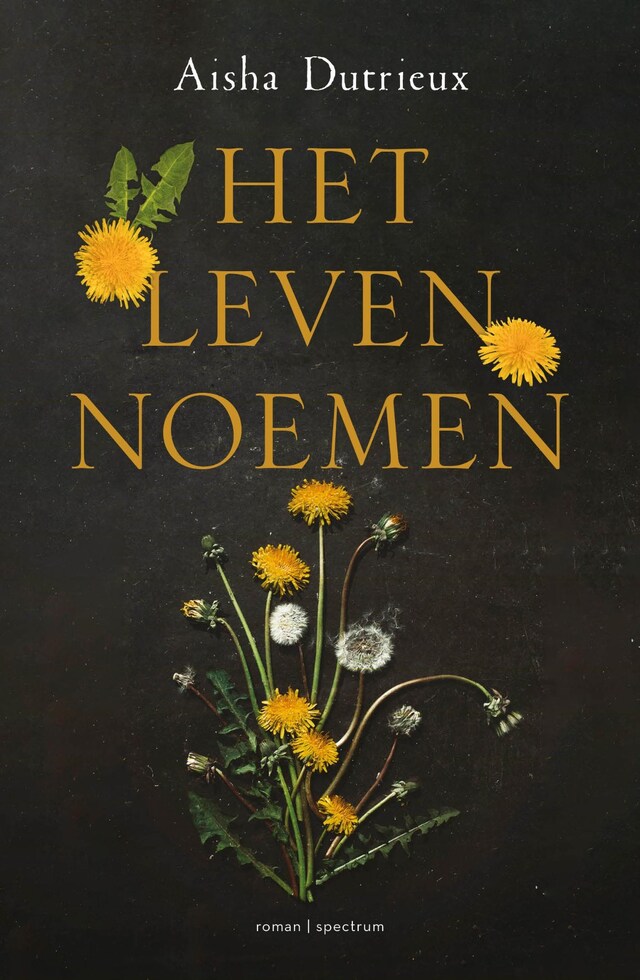 Buchcover für Het leven noemen