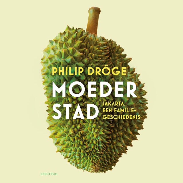 Couverture de livre pour Moederstad