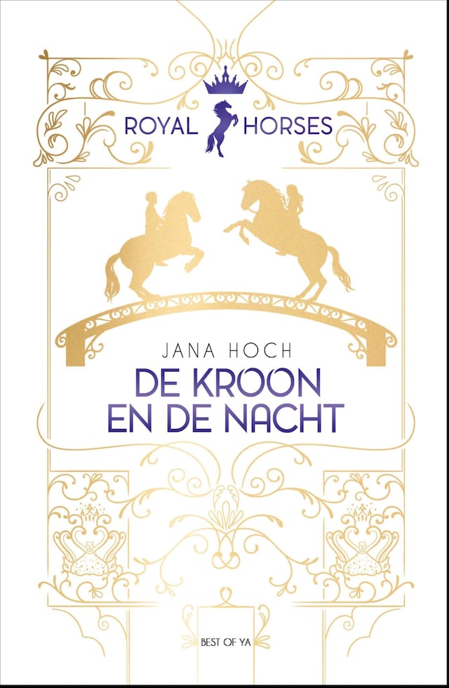 Book cover for De kroon en de nacht