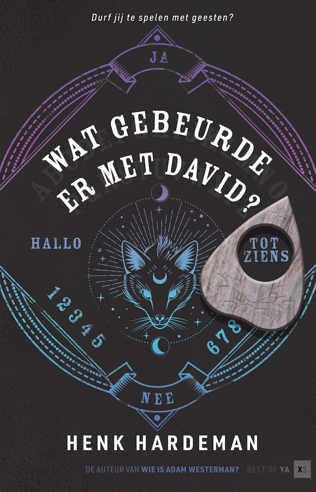 Book cover for Wat gebeurde er met David?