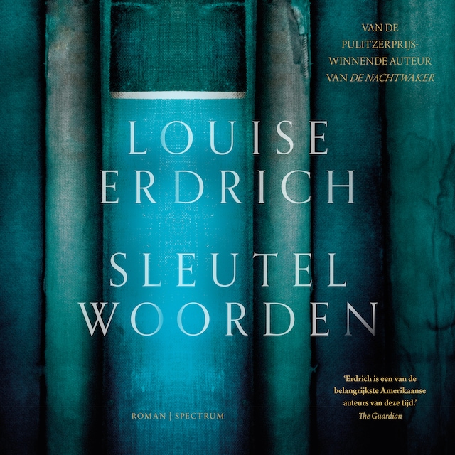 Book cover for Sleutelwoorden