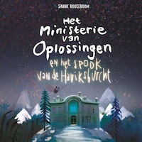 Het Ministerie van Oplossingen en het spook van de Haviksburcht