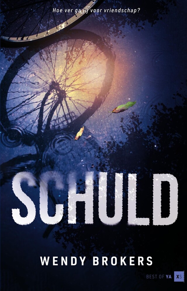 Book cover for Schuld