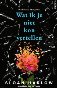 Wat ik je niet kon vertellen