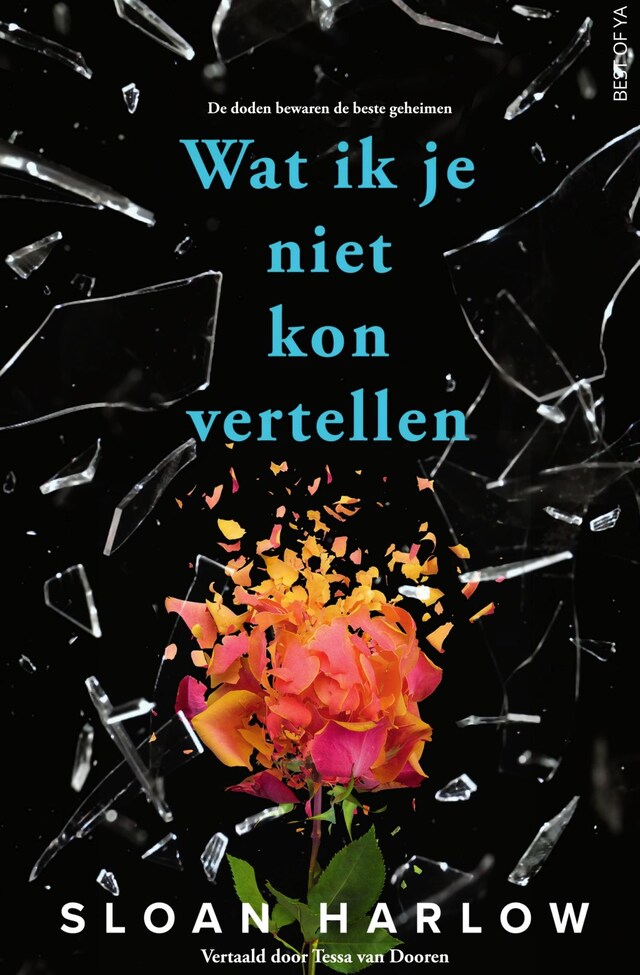 Buchcover für Wat ik je niet kon vertellen