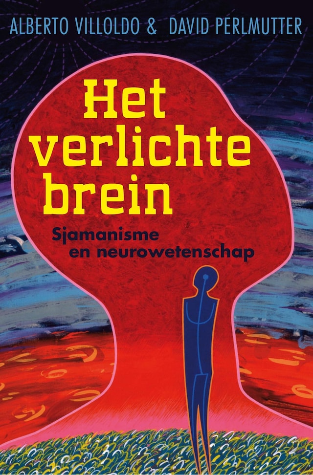 Book cover for Het verlichte brein