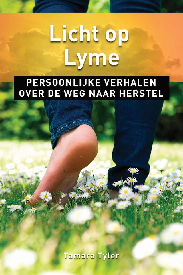 Book cover for Licht op Lyme