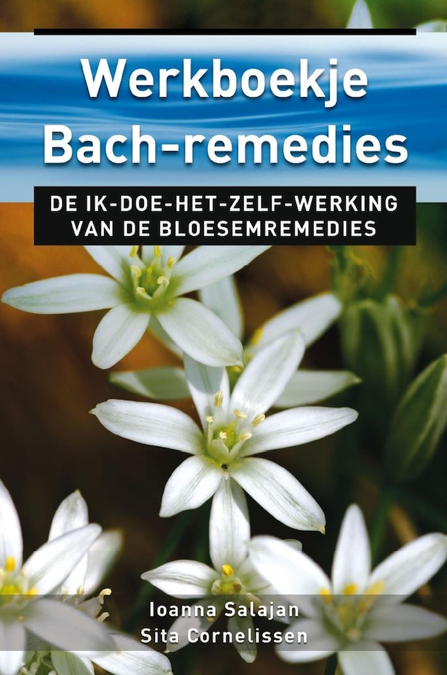 Book cover for Werkboekje Bach remedies