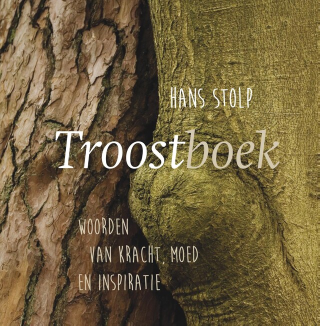 Book cover for Troostboek