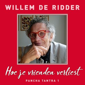 Hoe je vrienden verliest - luisterboek