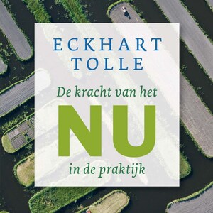 De kracht van het NU in de praktijk - luisterboek
