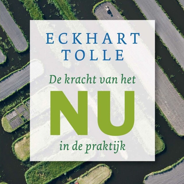 Book cover for De kracht van het NU in de praktijk