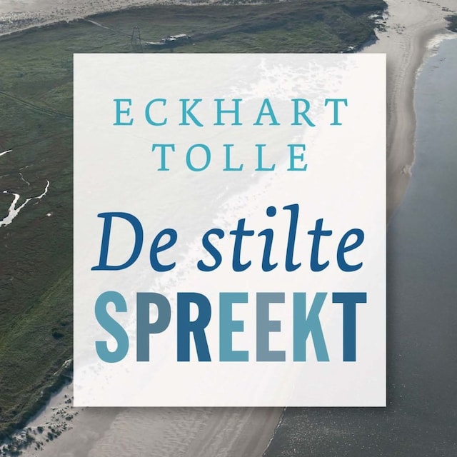 Kirjankansi teokselle De stilte spreekt