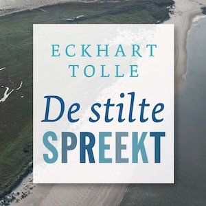 De stilte spreekt - luisterboek