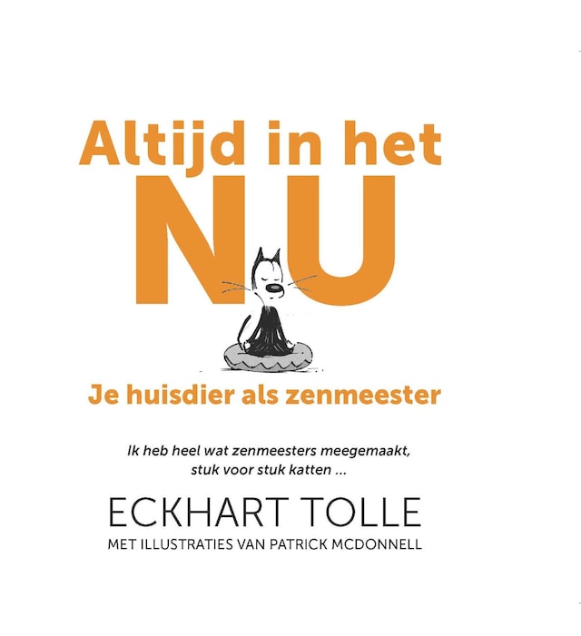 Book cover for Altijd in het nu