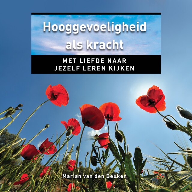 Book cover for Hooggevoeligheid als kracht