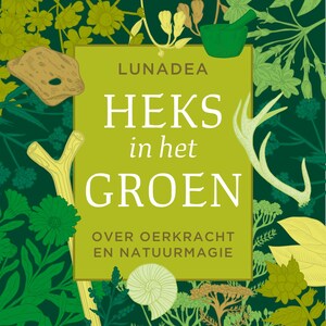Heks in het groen - luisterboek