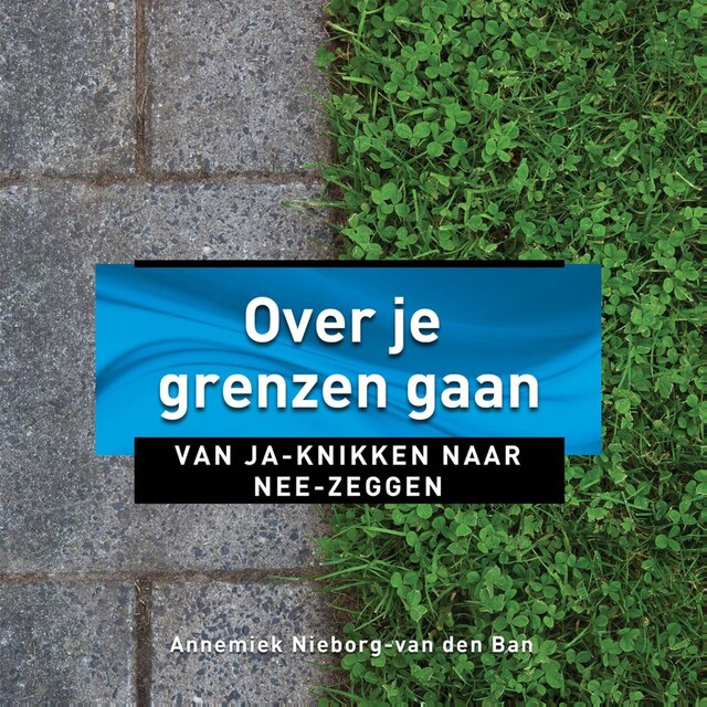 Book cover for Over je grenzen gaan